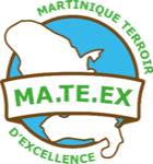 Mateex