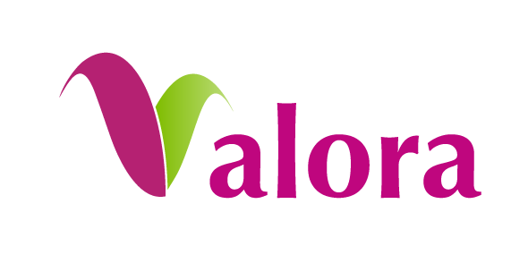 Le Village Valora